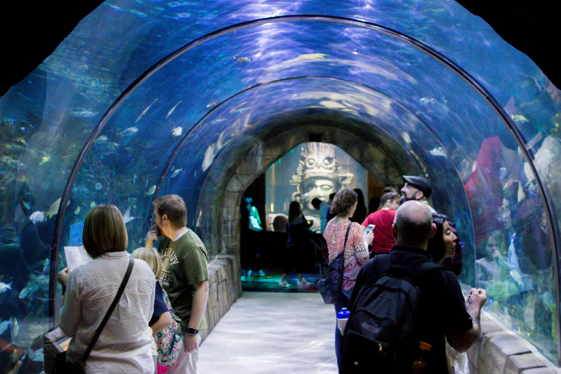 New Orleans Aquarium