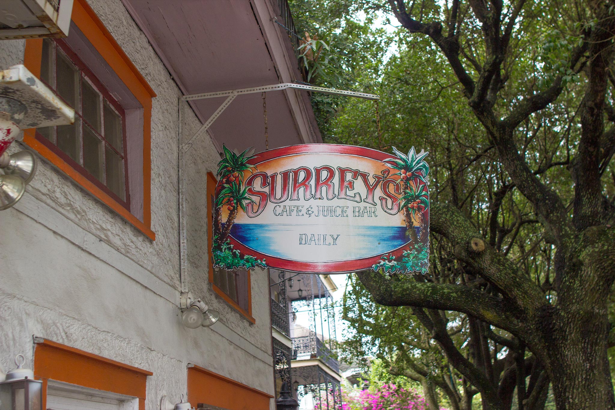 Surreys Cafe AND Juice Bar